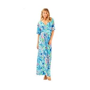 Lilly Pulitzer Maxi Dress xXS NWT